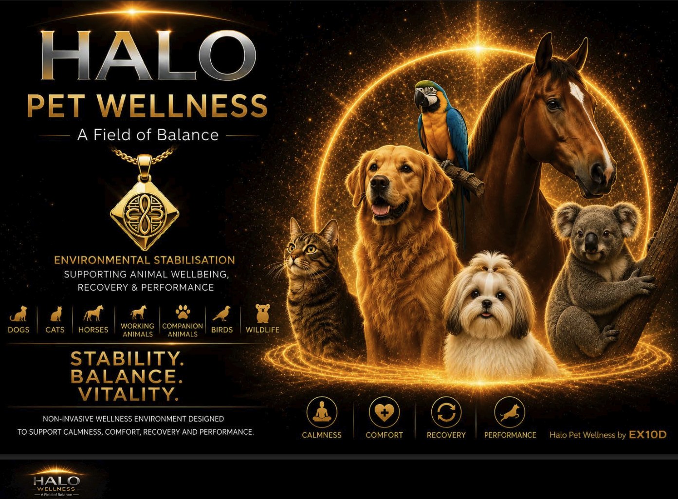 Halo Pet Wellness — a field of balance